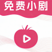 火狼影院免VIP会员版